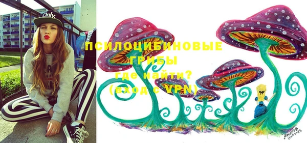 гидропоника Верхний Тагил