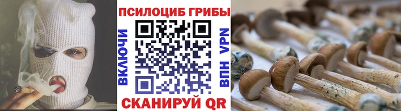 Галлюциногенные грибы мицелий  shop официальный сайт  Малаховка 